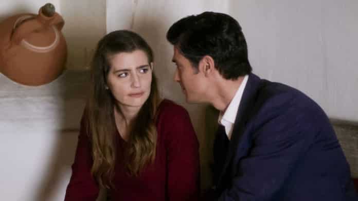 Άγριες μέλισσες Spoilers: Λάμπρος και Ελένη στα χωρίσματα