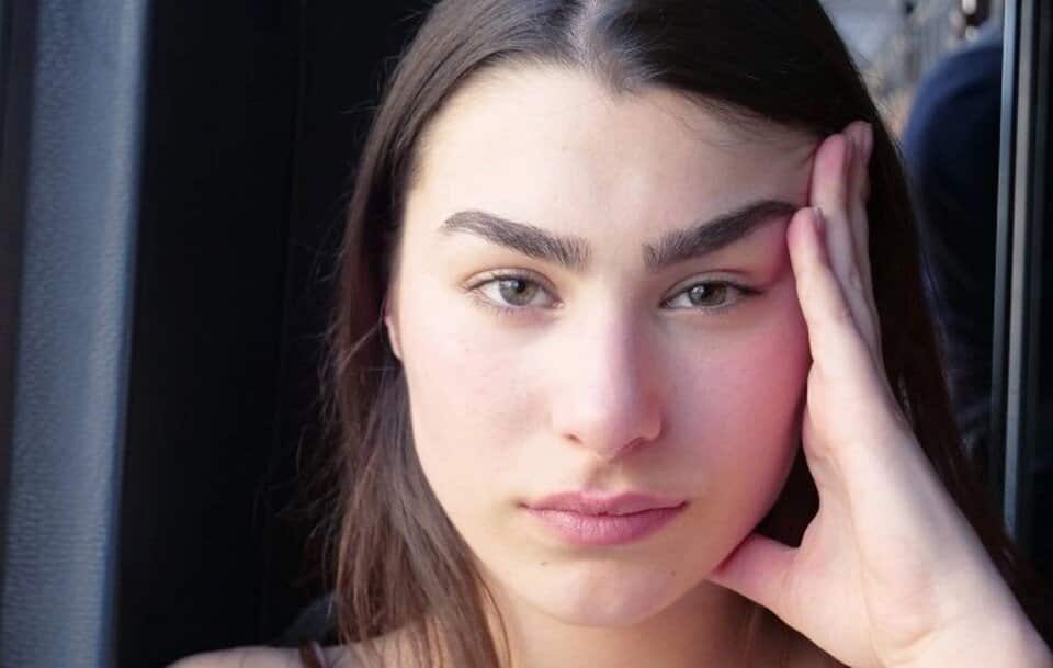 Άγριες Μέλισσες Επεισόδια: Η Ζορζέτ καταφτάνει στο χωριό για να δει την Ανέτ και τον Μελέτη