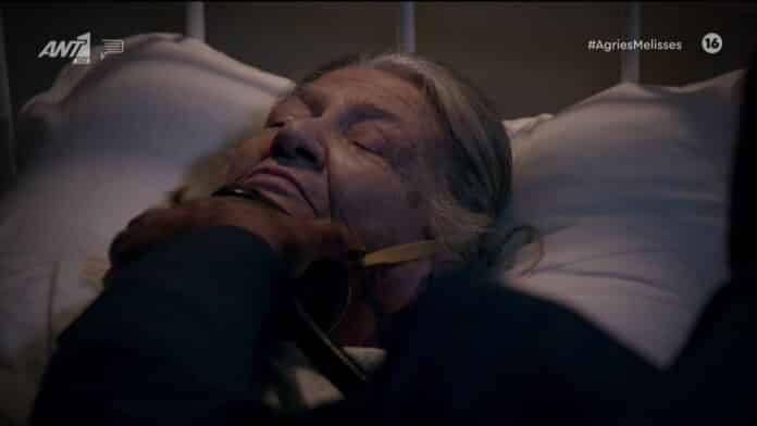 Άγριες Μέλισσες Spoiler: Αυτός σκότωσε τελικά τον πατέρα του Βόσκαρη