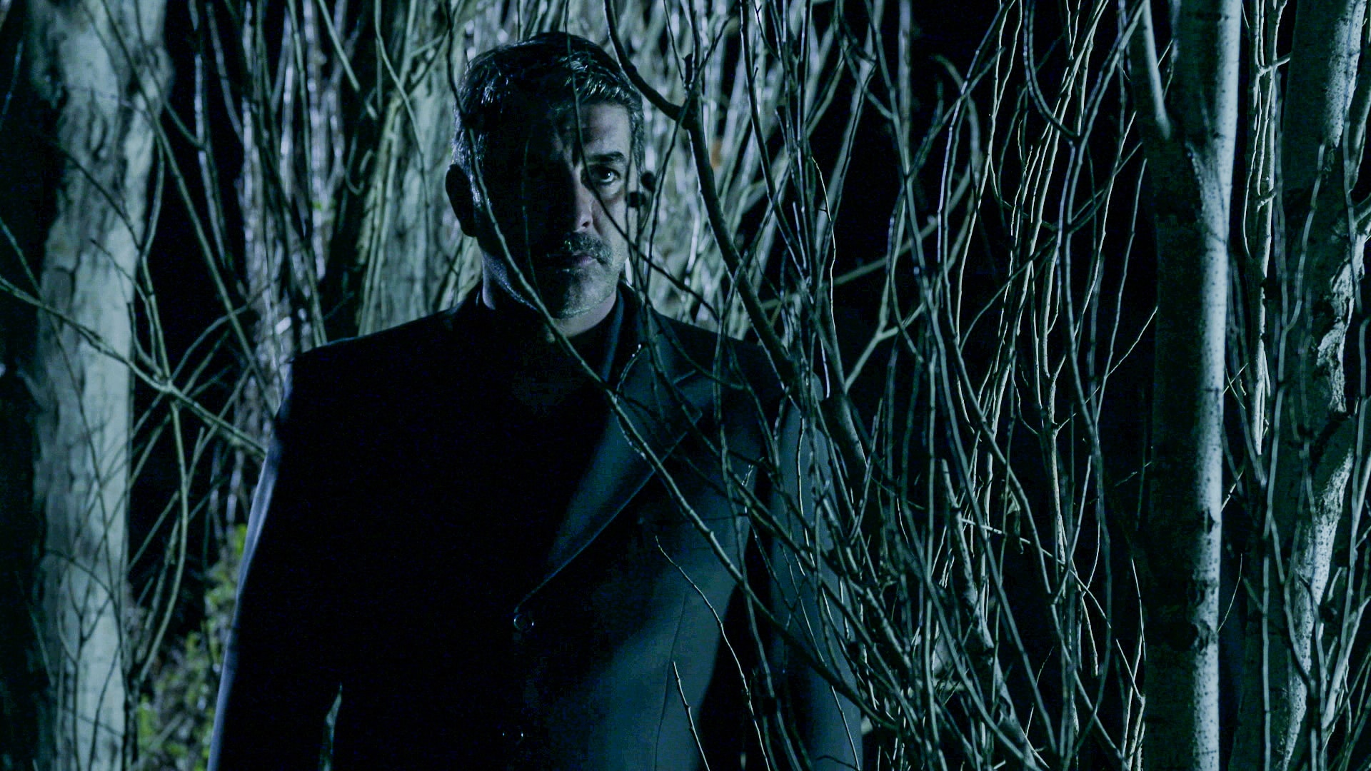 Άγριες Μέλισσες Spoiler: Υπέρ της Ελένης καταθέτει ο Δούκας στη δίκη του Βόσκαρη