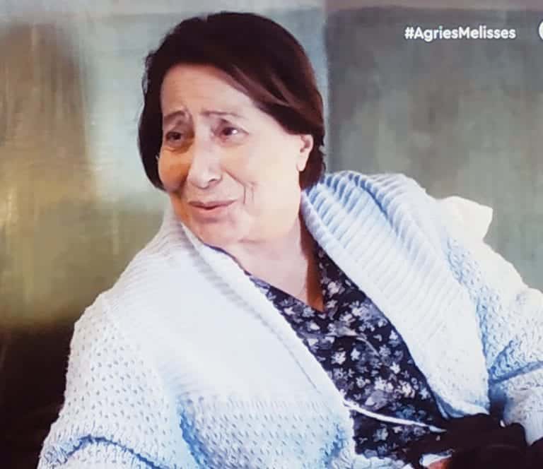 Άγριες Μέλισσες Spoiler: Ένας ακόμη γάμος έρχεται στο Διαφάνι, στα επόμενα επεισόδια της πολυαγαπημένης μας σειράς Άγριες Μέλισσες.