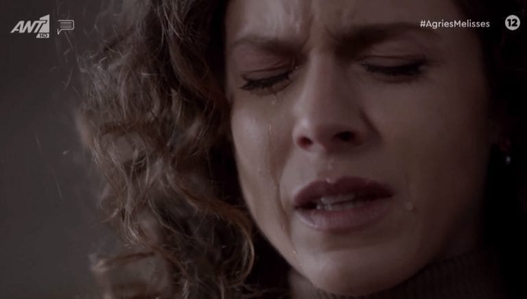 Άγριες Μέλισσες: Η απόφαση του δικαστηρίου & η στάση του Νικηφόρου