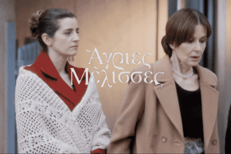 Άγριες Μέλισσες επεισόδια: Η Ελένη  ζητάει βοήθεια από την Ανέτ