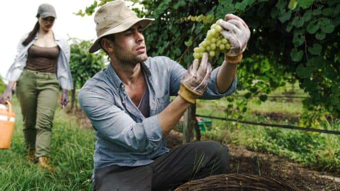 Ματωμένη Γη - Επεισόδιο 1, 2, 3, 4, 5