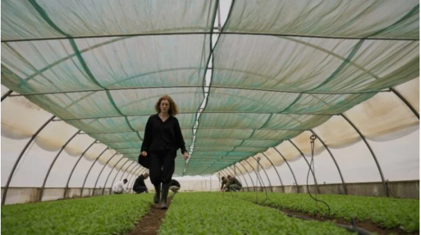 Η Γη της Ελιάς: Η Χάιδω νιώθει ντροπιασμένη - Ο λόγος;