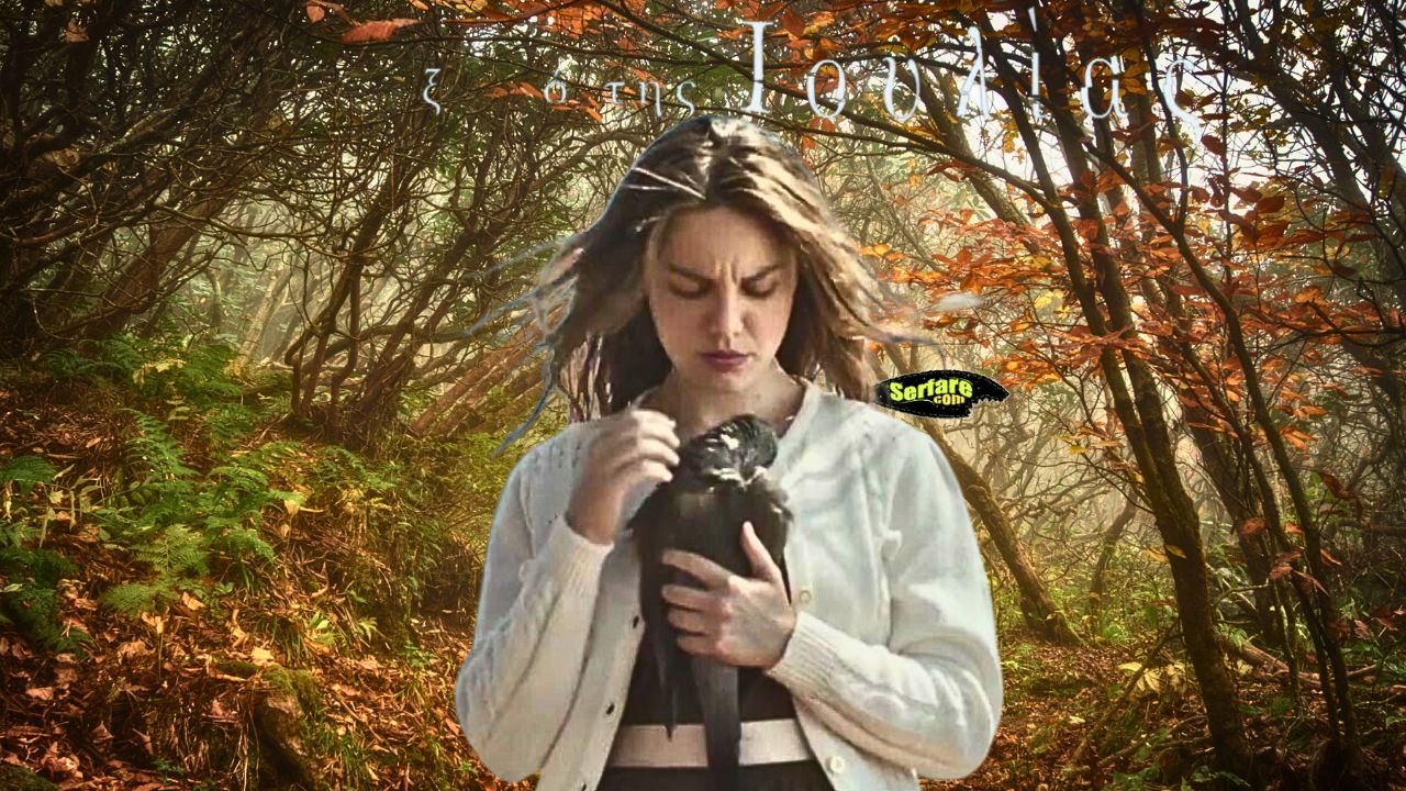 Το προξενιό της Ιουλίας – Επεισόδιο 1, 2