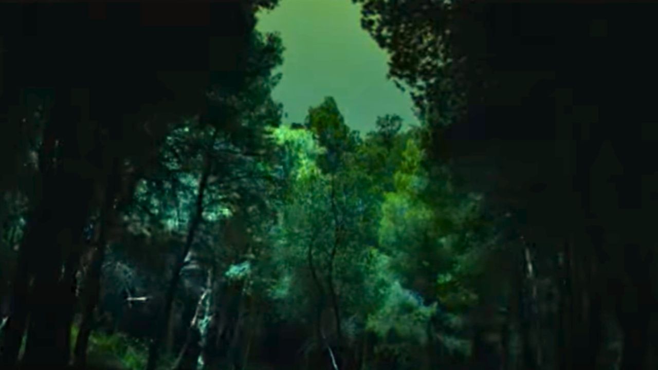 Μαύροι Πίνακες - Η Ιστορία πίσω απο τους πίνακες