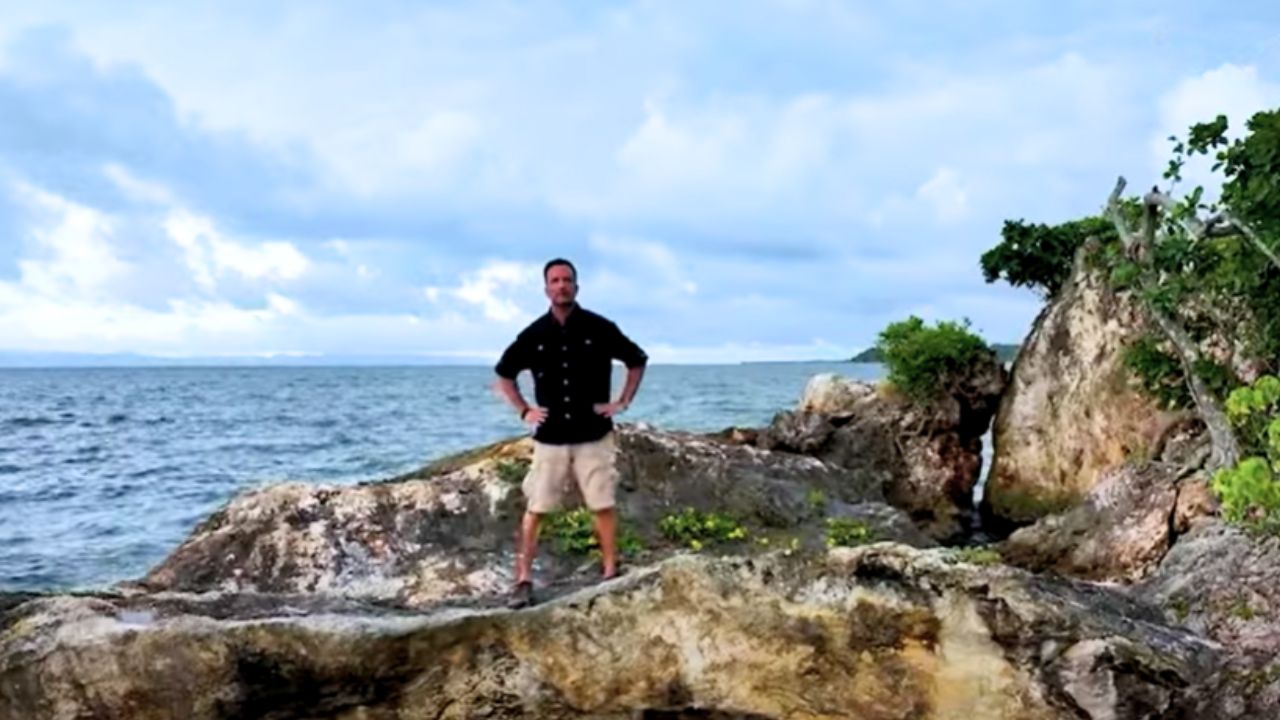 Survivor - Εγκαταλείπει τις νυχτερινές πίστες και γίνεται survivor